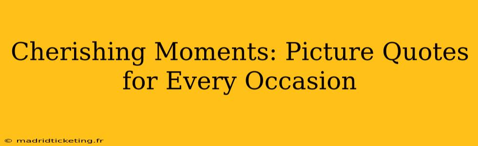 Cherishing Moments: Picture Quotes for Every Occasion