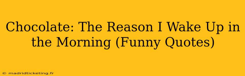 Chocolate: The Reason I Wake Up in the Morning (Funny Quotes)