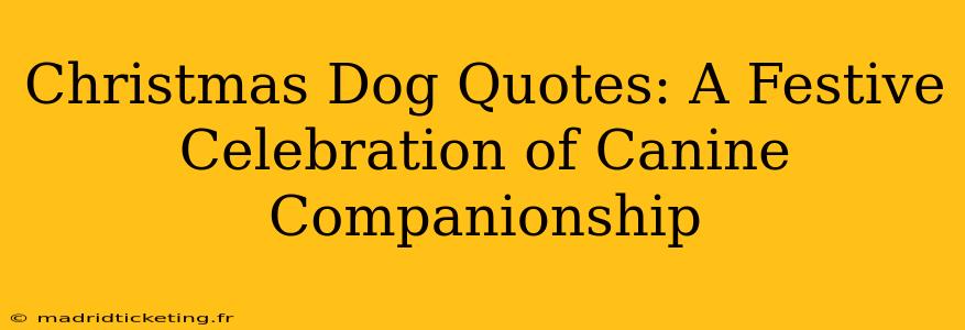 Christmas Dog Quotes: A Festive Celebration of Canine Companionship