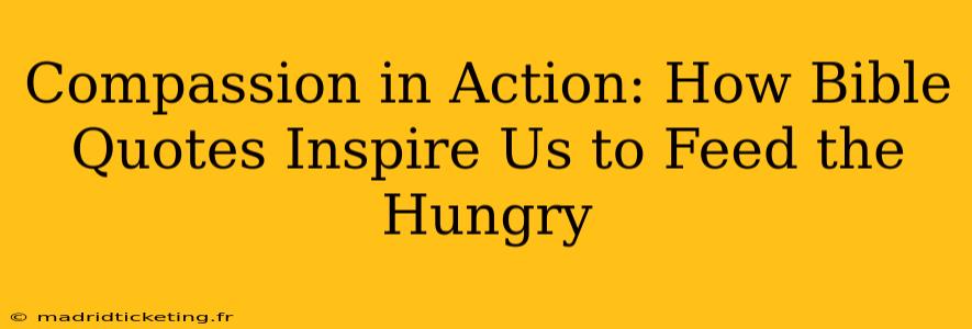 Compassion in Action: How Bible Quotes Inspire Us to Feed the Hungry