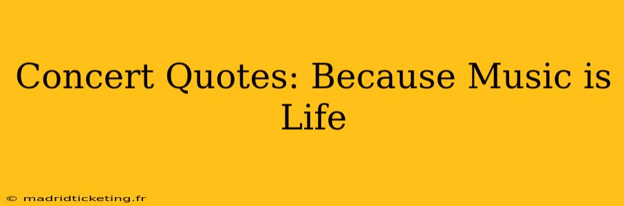 Concert Quotes: Because Music is Life