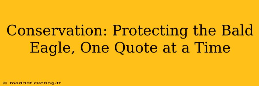 Conservation: Protecting the Bald Eagle, One Quote at a Time
