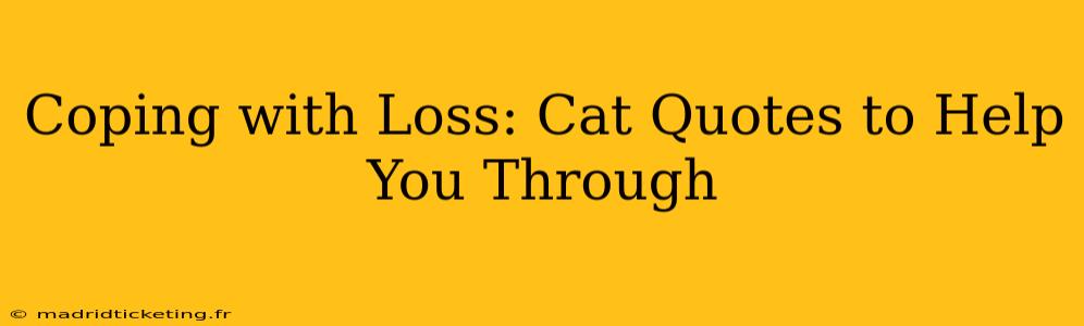 Coping with Loss: Cat Quotes to Help You Through