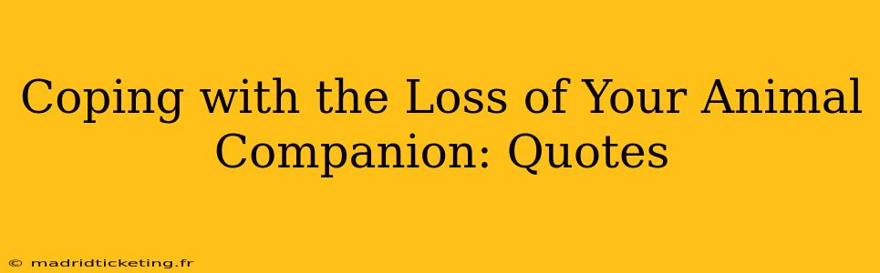 Coping with the Loss of Your Animal Companion: Quotes