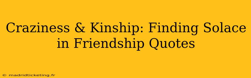 Craziness & Kinship: Finding Solace in Friendship Quotes
