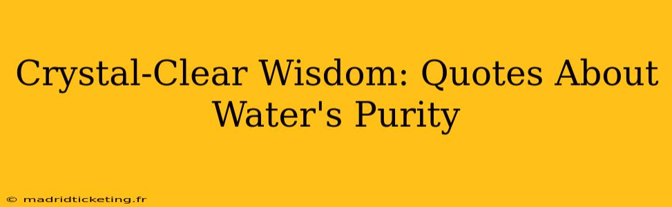 Crystal-Clear Wisdom: Quotes About Water's Purity
