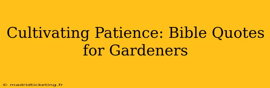 Cultivating Patience: Bible Quotes for Gardeners