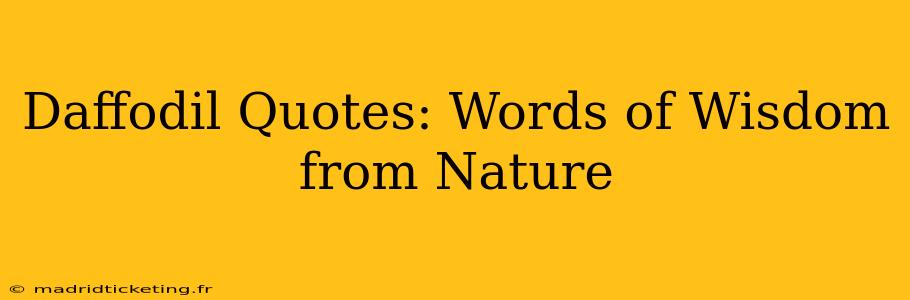 Daffodil Quotes: Words of Wisdom from Nature