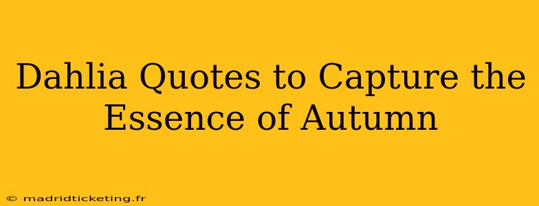 Dahlia Quotes to Capture the Essence of Autumn