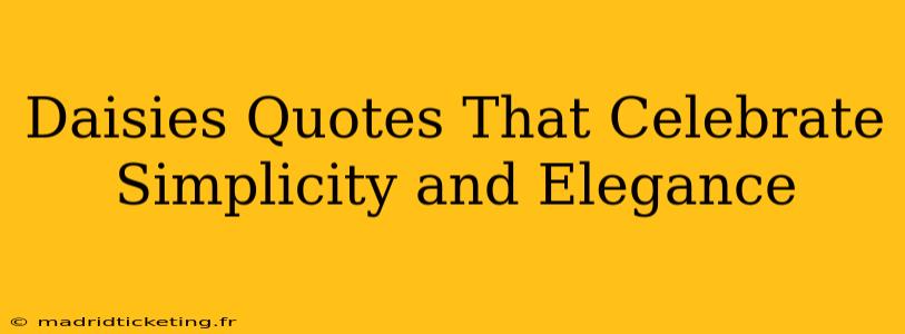 Daisies Quotes That Celebrate Simplicity and Elegance