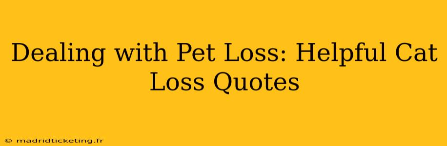 Dealing with Pet Loss: Helpful Cat Loss Quotes