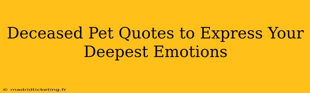 Deceased Pet Quotes to Express Your Deepest Emotions