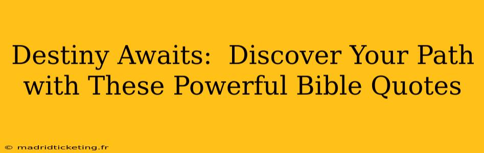 Destiny Awaits:  Discover Your Path with These Powerful Bible Quotes