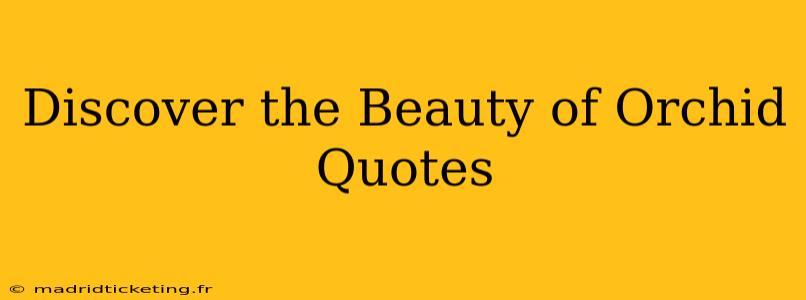 Discover the Beauty of Orchid Quotes