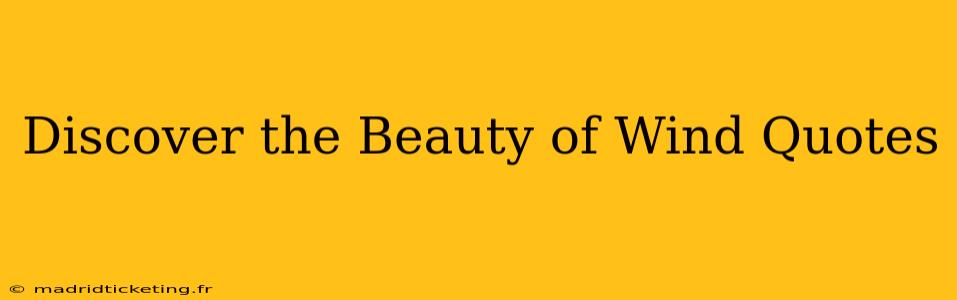 Discover the Beauty of Wind Quotes