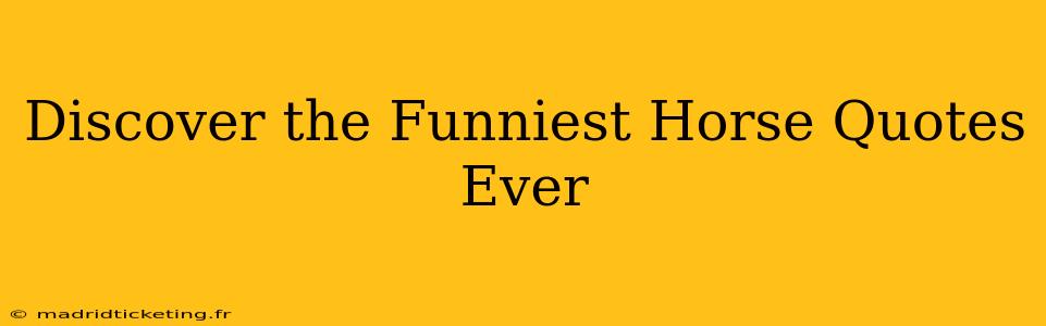 Discover the Funniest Horse Quotes Ever