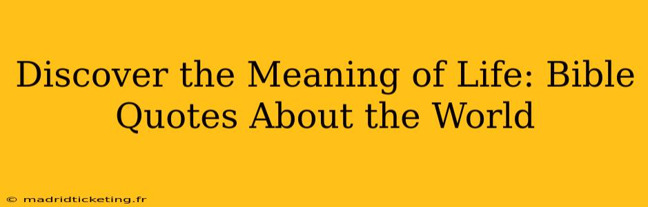 Discover the Meaning of Life: Bible Quotes About the World
