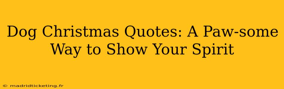 Dog Christmas Quotes: A Paw-some Way to Show Your Spirit