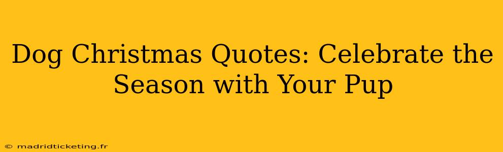 Dog Christmas Quotes: Celebrate the Season with Your Pup