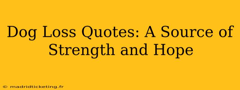 Dog Loss Quotes: A Source of Strength and Hope