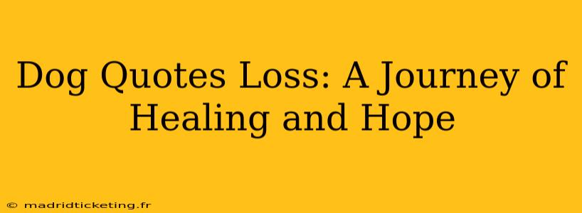 Dog Quotes Loss: A Journey of Healing and Hope