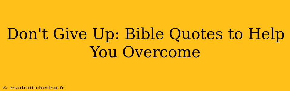 Don't Give Up: Bible Quotes to Help You Overcome