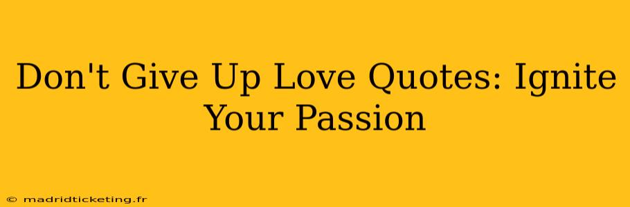 Don't Give Up Love Quotes: Ignite Your Passion