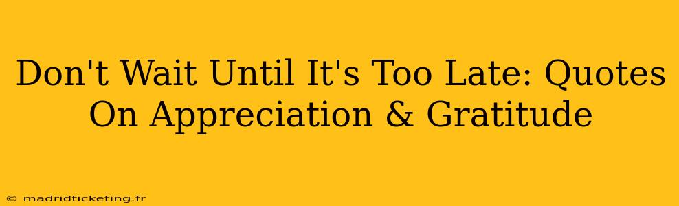 Don't Wait Until It's Too Late: Quotes On Appreciation & Gratitude
