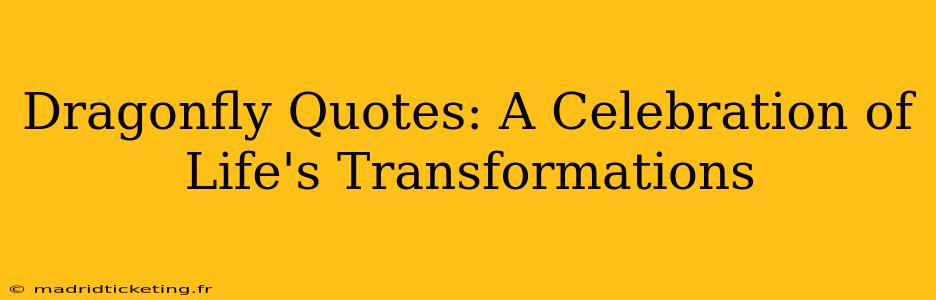 Dragonfly Quotes: A Celebration of Life's Transformations