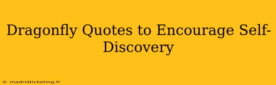 Dragonfly Quotes to Encourage Self-Discovery