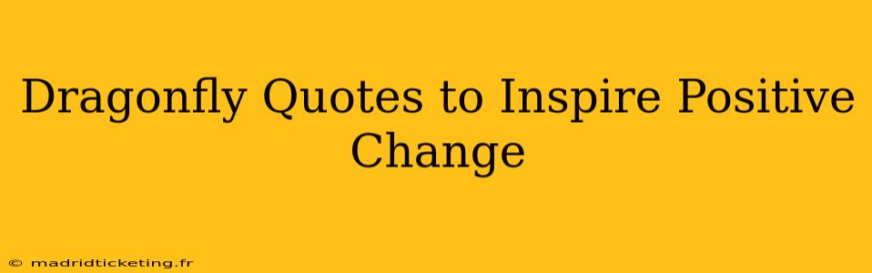 Dragonfly Quotes to Inspire Positive Change