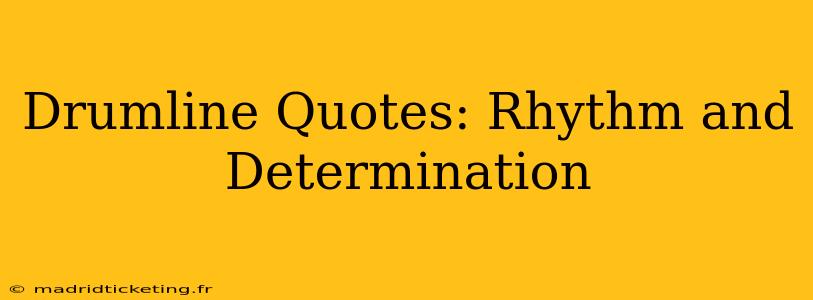 Drumline Quotes: Rhythm and Determination