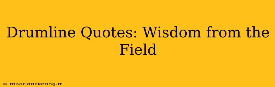 Drumline Quotes: Wisdom from the Field