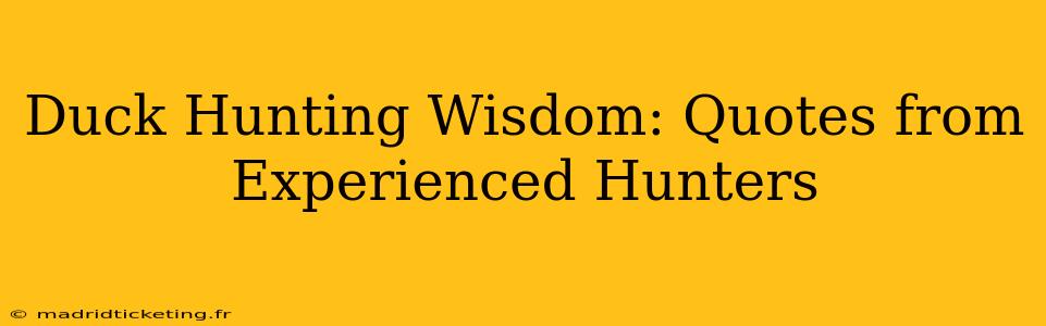 Duck Hunting Wisdom: Quotes from Experienced Hunters
