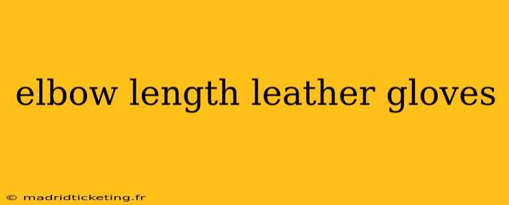 elbow length leather gloves