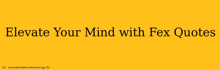 Elevate Your Mind with Fex Quotes