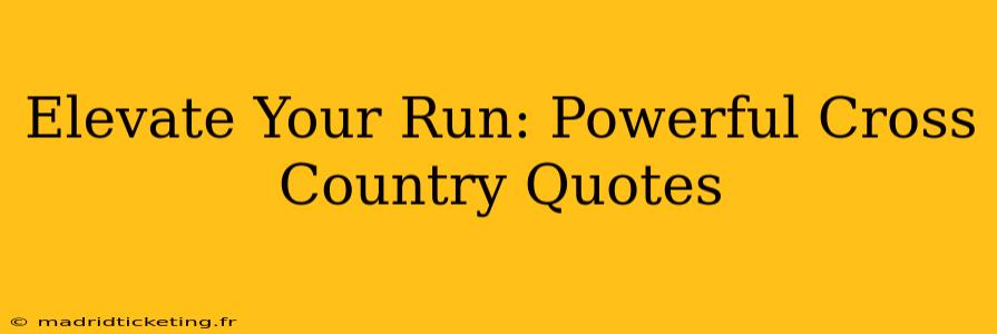 Elevate Your Run: Powerful Cross Country Quotes