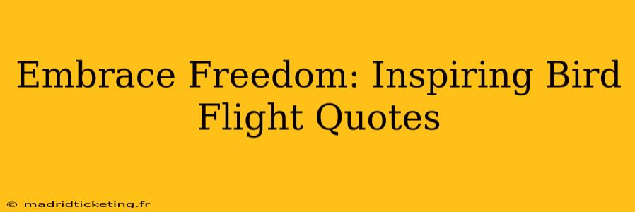 Embrace Freedom: Inspiring Bird Flight Quotes
