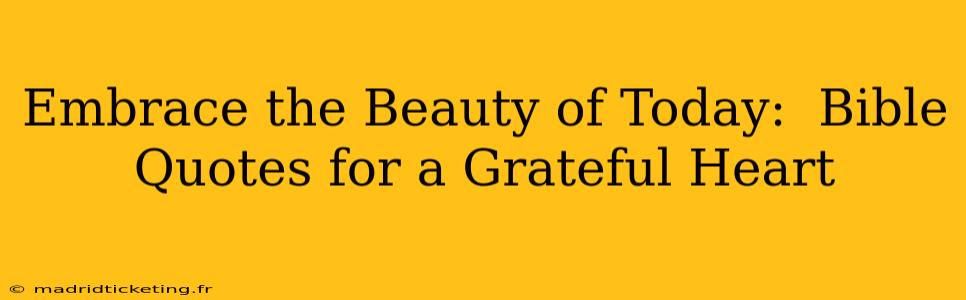 Embrace the Beauty of Today:  Bible Quotes for a Grateful Heart