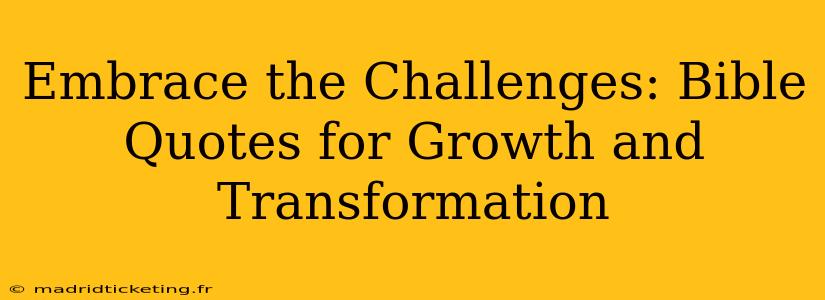 Embrace the Challenges: Bible Quotes for Growth and Transformation