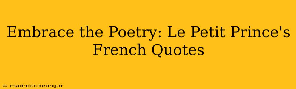 Embrace the Poetry: Le Petit Prince's French Quotes