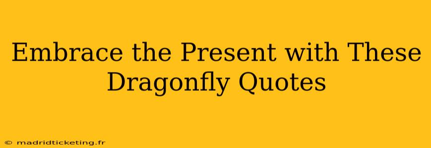 Embrace the Present with These Dragonfly Quotes