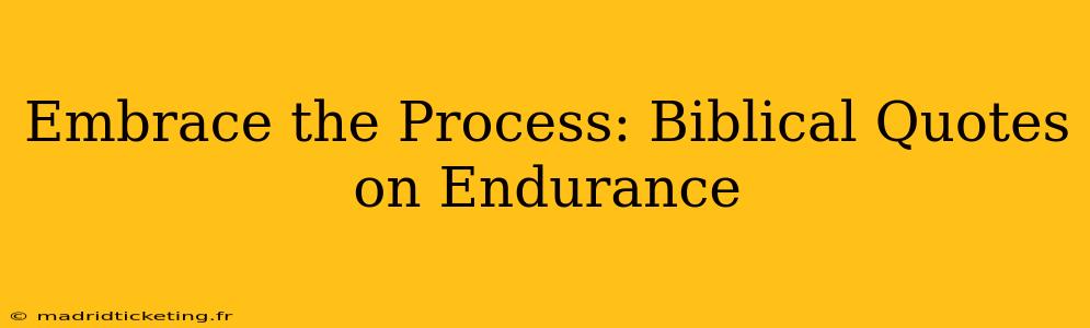 Embrace the Process: Biblical Quotes on Endurance