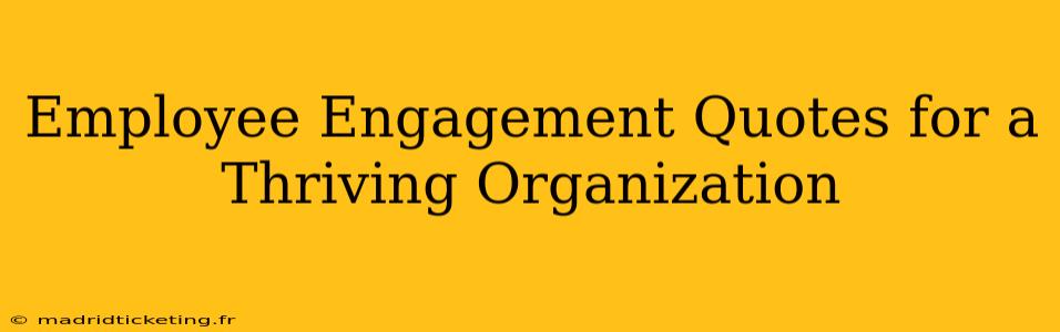 Employee Engagement Quotes for a Thriving Organization