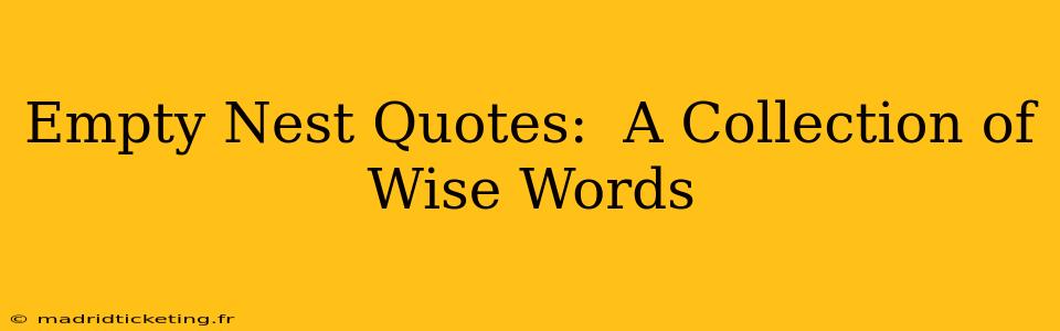 Empty Nest Quotes:  A Collection of  Wise Words