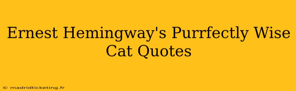 Ernest Hemingway's Purrfectly Wise Cat Quotes