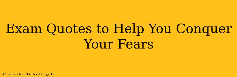 Exam Quotes to Help You Conquer Your Fears