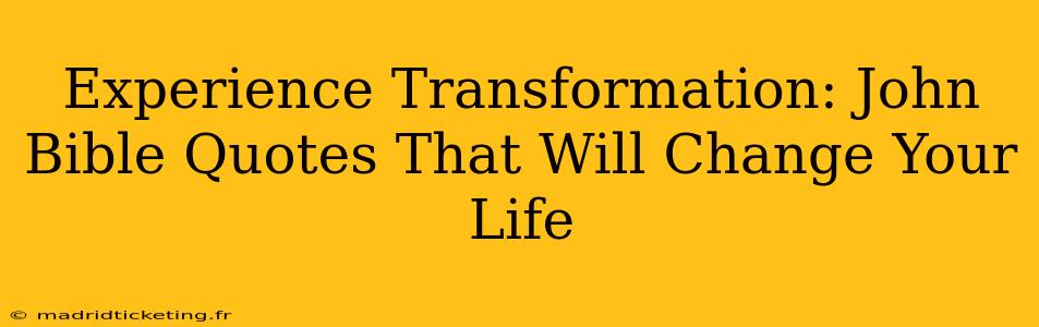 Experience Transformation: John Bible Quotes That Will Change Your Life