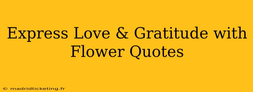 Express Love & Gratitude with Flower Quotes