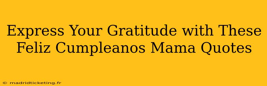 Express Your Gratitude with These Feliz Cumpleanos Mama Quotes